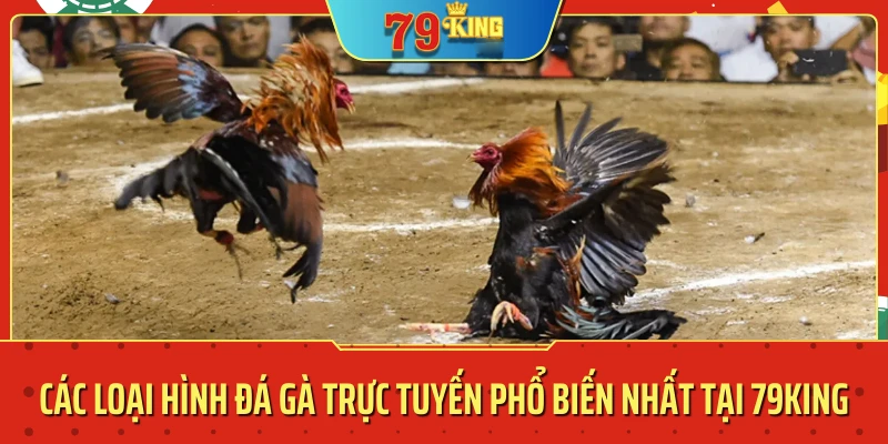 đá gà trực tiếp